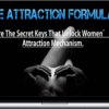 Gabe – The Attraction Formulas