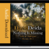 David Deida – Nothing is Missing – The 2017 Florida Talks