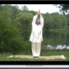 Healing Tao - Sexual Vitality Qigong