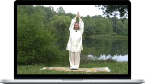 Healing Tao - Sexual Vitality Qigong