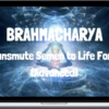 Spirituality Zone – Brahmacharya – Transmute Semen To Life Force