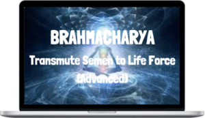 Spirituality Zone – Brahmacharya – Transmute Semen To Life Force